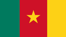Cameroun_drapeau